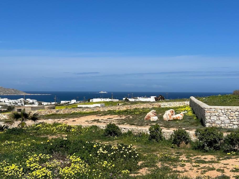 Aretousa Residence In Naoussa, Paros Exterior foto
