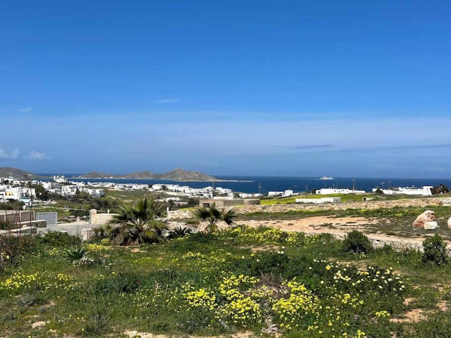 Aretousa Residence In Naoussa, Paros Exterior foto
